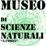 Museo di Scienze Naturali Alvise Comel